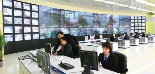 專業群巡禮 青島港灣職業學院信息技術專業群，信息技術咨詢服務探析